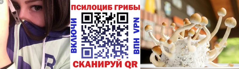 даркнет сайт Жирновск Галлюциногенные грибы MAGIC MUSHROOMS