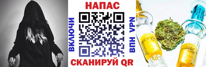 где продают   Жирновск  Бошки Шишки SATIVA & INDICA 